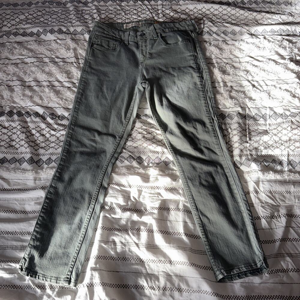 EUCAnthropologie Pilcro and the Letterpress Green Denim Pant Size 29